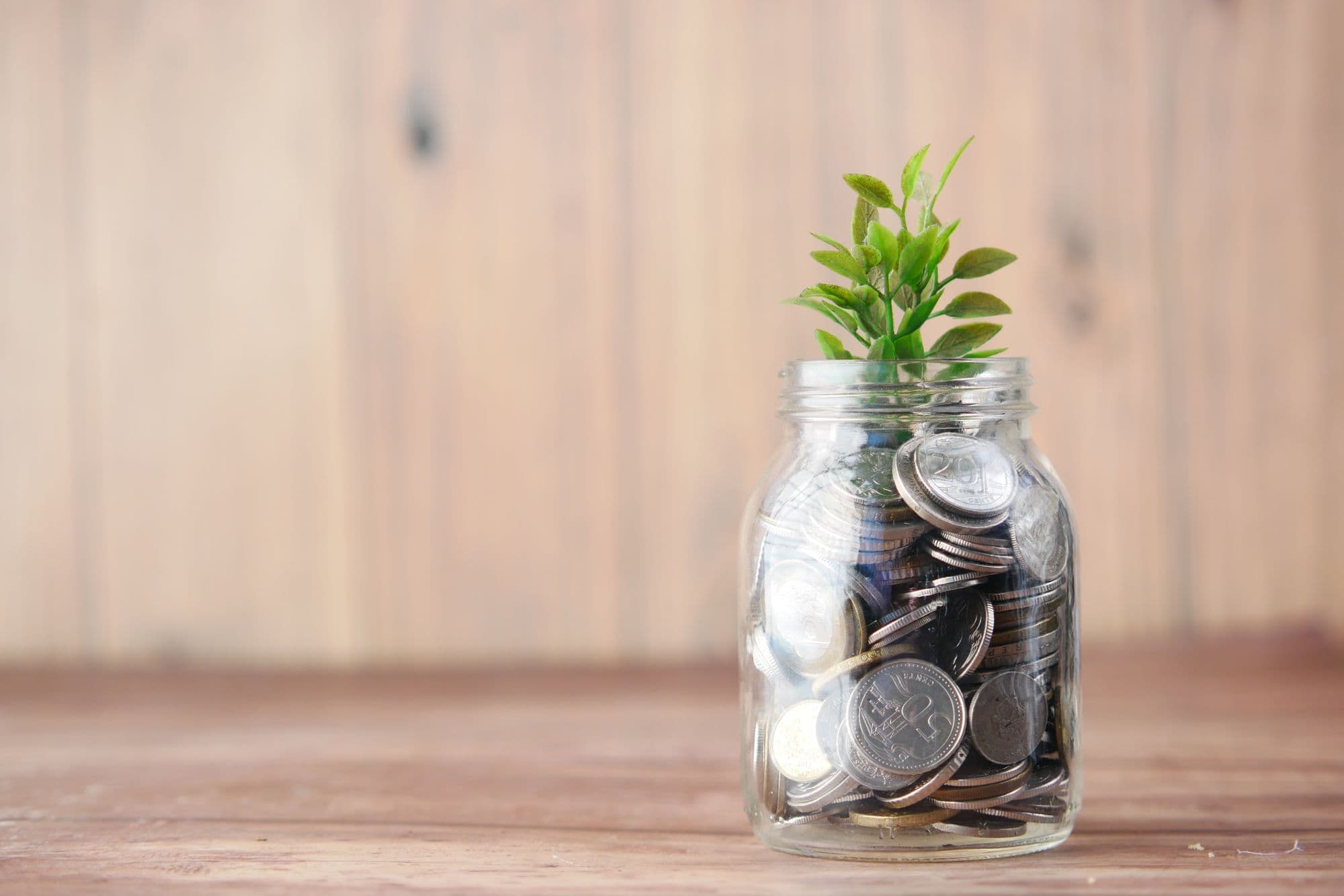 Glazen pot vol munten waaruit een plantje groeit